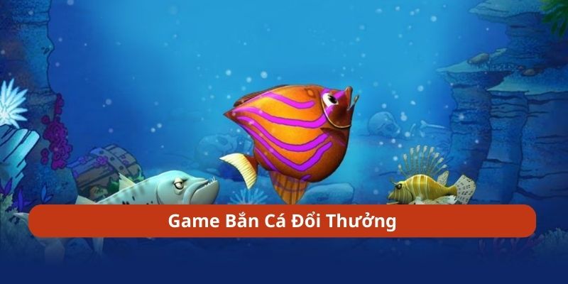 game-ban-ca-doi-thuong.jpg